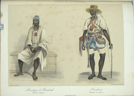Voyage dans l'Afrique Occidentale comprenant l'exploration du Sénégal depuis Saint-Louis jusqu'à Falémé, au-delà de Bakel ; de la Falémé‚ depuis son ...
