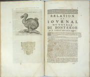 Relations de divers voyages curieux qui n'ont pas été publiées ou qui ont été traduites d'Hacluyt, de Purchas et d'autres voyageurs. 
 par THEVENOT (Melchisédech). 
 - Image 5