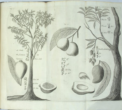 Relations de divers voyages curieux qui n'ont pas été publiées ou qui ont été traduites d'Hacluyt, de Purchas et d'autres voyageurs.
. THEVENOT ...