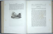 Journal de la navigation autour du globe de la frégate La Thétis et de la corvette L'Espérance pendant les années 1824, 1825 et 1826. Publié par ordre du Roi sous les auspices du Département de la Marine. 
 par BOUGAINVILLE (Hyacinthe-Yves de)
 - Image 3