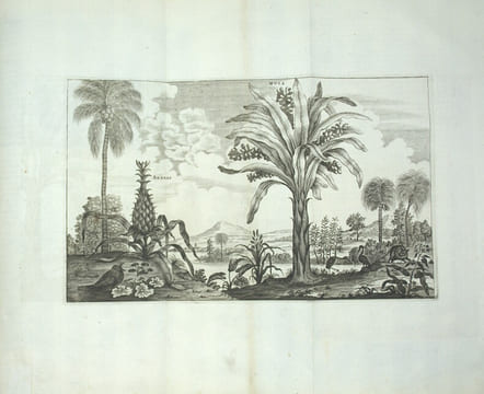 L’Ambassade de la compagnie orientale des Provinces unies vers l’Empereur de la Chine, ou grand Cam de Tartarie, faite par les Srs. Pierre de Goyer, & ...