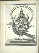 Voyage aux Indes orientales et à la Chine, fait par ordre du Roi, depuis 1774 jusqu'en 1781 : Dans lequel on traite des M urs, de la Religion, des Sciences des Arts des Indiens, des Chinois... suivi d'Observations sur le Cap de Bonne-Espérance, les Isles de France de Bourbon... des Recherches sur l'Histoire Naturelle de ces Pays. par SONNERAT, Pierre. - Image 5