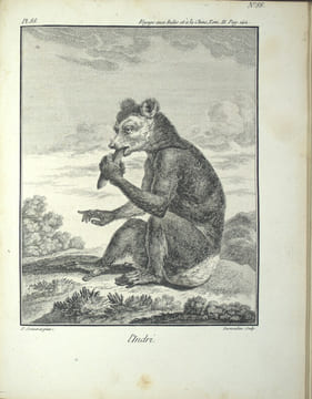 Voyage aux Indes orientales et à la Chine, fait par ordre du Roi, depuis 1774 jusqu'en 1781 : Dans lequel on traite des M urs, de la Religion, des ...