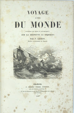 Voyage autour du monde entrepris par ordre du gouvernement sur la corvette la Coquille.
. LESSON (René-Primevère)