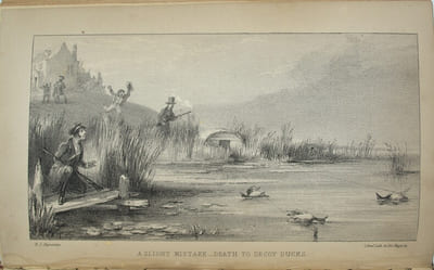 The sportsman in Canada 

