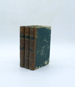 Voyages à la partie orientale de la Terre-Ferme dans l'Amérique Méridionale fait pendant les années 1801, 1802, 1803 et 1804