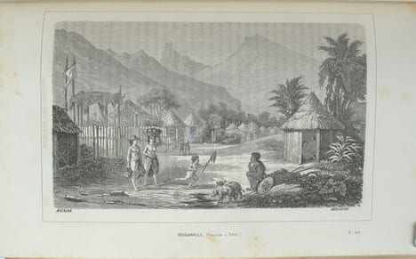 Histoire des voyages anciens et modernes dans les cinq parties du monde. Relations empruntées aux navigateurs, savants, pèlerins, marchands et ...