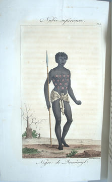 Voyage à Méroé, au fleuve blanc, au-delà de Fazoql, à Syouah et dans cinq autres oasis, fait dans les années 1819, 1820, 1821 et 1822….
. CAILLIAUD, ...