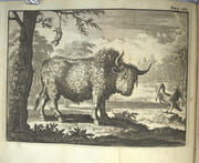 Voyage curieux du R. P. Louis Hennepin, Missionaire recollect, & notaire apostolique, qui contient une nouvelle découverte d'un très-grand pays, situé dans l'Amérique, entre le Nouveau Mexique, & la Mer Glaciale, avec toutes les particularités de ce pays, & les avantages qu'on en peut tirer par l'établissement des Colonies, enrichi de Cartes & augmenté de quelques figures en taille douce necessaires. Outre cela on a aussi ajoûté ici un Voyage qui contient une relation exacte de l'origine, moeurs, coûtumes, religion, guerres & voyages des Caraïbes, Sauvages des Isles Antilles de l'Amérique, faite par le Sieur de La Borde, employé à la Conversion des Caraïbes, et tirée du cabinet de Monsr. Blondel. 

 par HENNEPIN (Louis), LA BORDE. 

 - Image 7