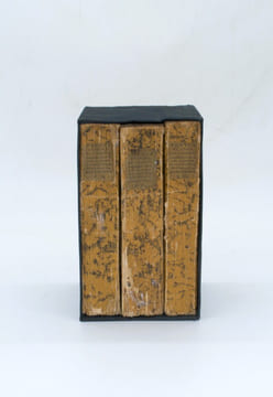 Voyage en Chine, formant le complément du voyage de Lord Macartney ; contenant des Observations et des Descriptions faites pendant le séjour de ...