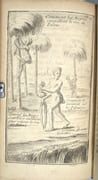 Les Voyages de Sieur Le Maire aux Isles Canaries, Cap-Verd, Senegal, et Gambie. Sous Monsieur Dancourt, Directeur General de la Compagnie Roïale d’Affrique. 

 par LE MAIRE (Jacques-Joseph)

 - Image 4