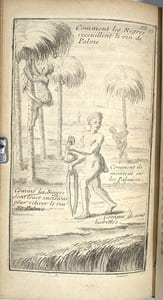 Les Voyages de Sieur Le Maire aux Isles Canaries, Cap-Verd, Senegal, et Gambie. Sous Monsieur Dancourt, Directeur General de la Compagnie Roïale d’Affrique. 

