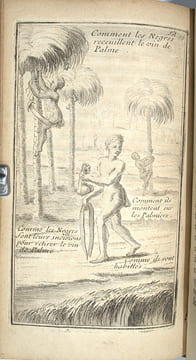 Les Voyages de Sieur Le Maire aux Isles Canaries, Cap-Verd, Senegal, et Gambie. Sous Monsieur Dancourt, Directeur General de la Compagnie Roïale ...