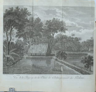 Relation des iles Pelew, situees dans la partie occidentale de l'ocean pacifique, composee sur les Journeaux et les communications du Capitaine Henri Wilson et de quelques-uns de ses Officiers, qui, en aout 1783, y ont fait naufrage sur l'Antelope, paquebot de la Compagnie des Indes orientales.
