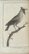 Voyage de François Le Vaillant dans l’intérieur de l’Afrique par le cap de Bonne Esperance, nouvelle édition, …
 par LE VAILLANT, François.
 - Image 3