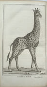 Voyage de François Le Vaillant dans l’intérieur de l’Afrique par le cap de Bonne Esperance, nouvelle édition, …
 par LE VAILLANT, François.
 - Image 4