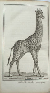 Voyage de François Le Vaillant dans l’intérieur de l’Afrique par le cap de Bonne Esperance, nouvelle édition, …
