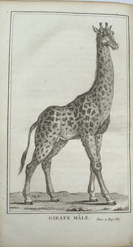 Voyage de François Le Vaillant dans l’intérieur de l’Afrique par le cap de Bonne Esperance, nouvelle édition, …
. LE VAILLANT, François.