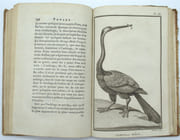 Second voyage dans l'intérieur de l'Afrique par le Cap de Bonne-Espérance, dans les années 1780, 81, 82, 83, 84 & 85
 par LEVAILLANT (FRANÇOIS)
 - Image 3