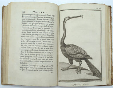 Second voyage dans l'intérieur de l'Afrique par le Cap de Bonne-Espérance, dans les années 1780, 81, 82, 83, 84 & 85
