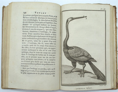 Second voyage dans l'intérieur de l'Afrique par le Cap de Bonne-Espérance, dans les années 1780, 81, 82, 83, 84 & 85
. LEVAILLANT (FRANÇOIS)