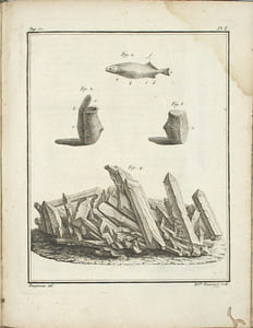 Voyage en Californie pour l’observation du passage de Vénus sur le disque du soleil, Le 3 Juin 1769 ; Contenant les observations de ce phénomène, & la description historique de la route de l’Auteur à travers le Mexique.