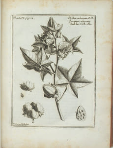 Relation du voyage de la mer du Sud aux côtes du Chily et du Pérou, fait pendant les années 1712, 1713, & 1714.