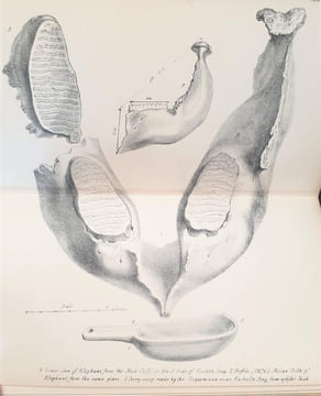 A NARRATIVE OF A VOYAGE TO THE PACIFIC AND BEERING'S STRAIT. BEECHEY