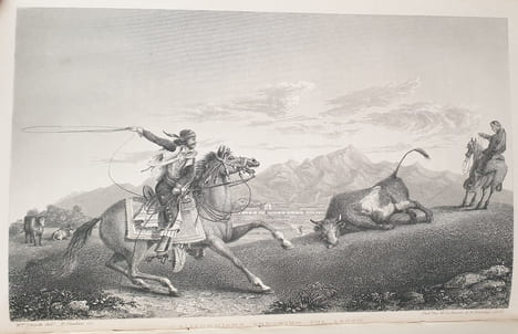 A NARRATIVE OF A VOYAGE TO THE PACIFIC AND BEERING'S STRAIT. BEECHEY