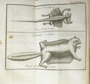LETTRES ÉDIFIANTES et curieuses, écrites des missions étrangères. Nouvelle édition par quelques missionnaires de la Compagnie de Jésus.
 par COLLECTIF, QUERBOEUF (père Yves Mathurin de, éditeur)

 - Image 6