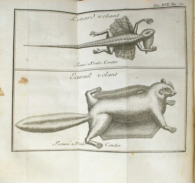 LETTRES ÉDIFIANTES et curieuses, écrites des missions étrangères. Nouvelle édition par quelques missionnaires de la Compagnie de Jésus.
. COLLECTIF, ...