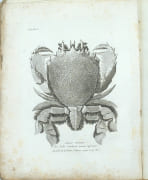 Voyage autour du monde, et principalement à la côte nord-ouest de l’Amérique, fait en 1785, 1786, 1787 et 1788, à bord du King-George et de la Queen-Charlotte, par les Capitaines Portlock et Dixon. Dédié, par permission, à Sir Joseph Banks, baronet, traduit de l’Anglois par M. Lebas. par DIXON, George - Image 3