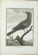 Voyage aux Indes Orientales et à la Chine, fait par ordre de Louis XVI, depuis 1774 jusqu'en 1781 ; dans lequel on traite des mœurs, de la religion, des sciences et des arts des Indiens, des Chinois, des Pégouins et des Madégasses, .... Nouvelle édition augmentée par SONNERAT, Pierre. - Image 7