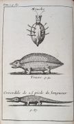 Image de livre