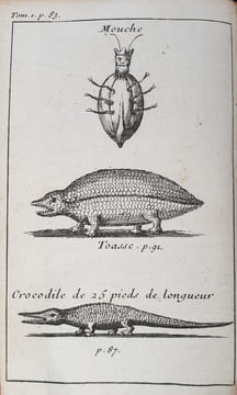 VOYAGE DU SIEUR LUCAS AU LEVANT. LUCAS PAUL