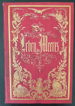 DAS LEBEN DES MEERES. HARTWIG