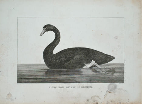 Relation du voyage à la recherche de La Pérouse, fait par ordre de l'Assemblée constituante, pendant les années 1791, 1792, et pendant la 1ère et la ...