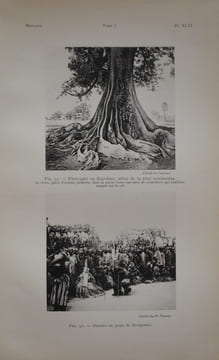 GEOGRAPHIE ECONOMIQUE DU HAUT SENEGAL NIGER - SOUDAN FRANCAIS. MENIAUD JACQUES