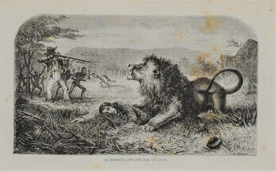 EXPLORATIONS DANS L’INTÉRIEUR DE L'AFRIQUE AUSTRALE