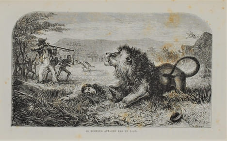 EXPLORATIONS DANS L’INTÉRIEUR DE L'AFRIQUE AUSTRALE. LIVINGSTONE DAVID