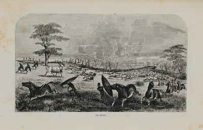 EXPLORATIONS DANS L’INTÉRIEUR DE L'AFRIQUE AUSTRALE