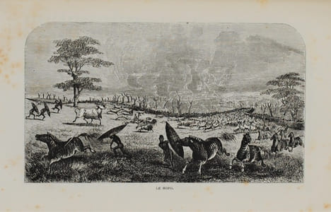 EXPLORATIONS DANS L’INTÉRIEUR DE L'AFRIQUE AUSTRALE. LIVINGSTONE DAVID