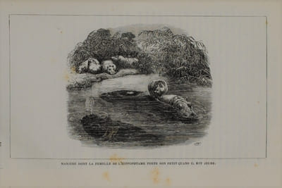 EXPLORATIONS DANS L’INTÉRIEUR DE L'AFRIQUE AUSTRALE