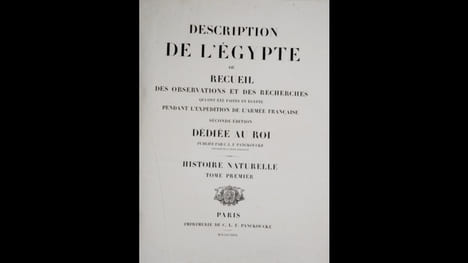 Description de l'Égypte ou Recueil des observations et des recherches qui ont été faites en Égypte pendant l'expédition de l'Armée française. Seconde ...