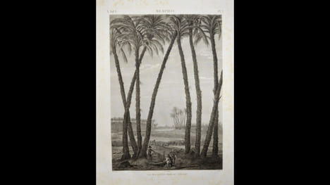 Description de l'Égypte ou Recueil des observations et des recherches qui ont été faites en Égypte pendant l'expédition de l'Armée française. Seconde ...