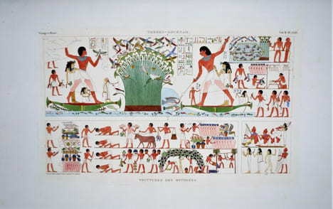Voyage à Méroé, au fleuve blanc au-delà de Fazoql dans le midi du royaume de Sennâr, à Syouah et dans cinq autres oasis fait dans les années 1819, ...
