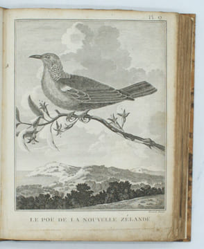 Voyage dans l'hémisphère austral et autour du monde sur les vaisseaux de Roi l'Aventure & la Résolution en 1772, 1773, 1774 & 1775.. COOK (James).