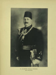 Les Campagnes navales de Mohammed Aly et d'Ibrahim .
