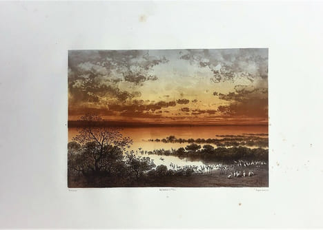 Voyage pittoresque à travers l'Isthme de Suez. Album des souverain. FONTANE (Marius), RIOU (Édouard), CICERI (Eugène)