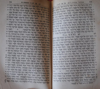 BIBLIA HEBRAICA